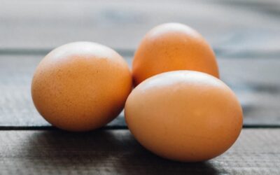 Top Health Benefits of Eggs: Include Them in Your Diet