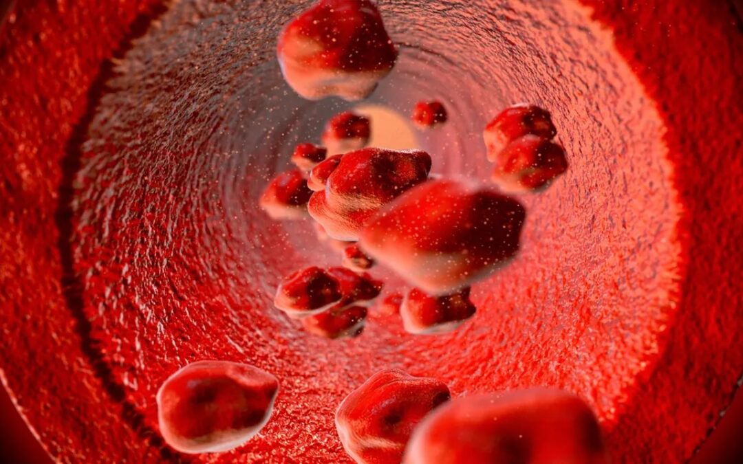 HDL LDL and VLDL: The Different Types of Cholesterol