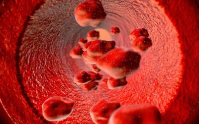 HDL LDL and VLDL: The Different Types of Cholesterol