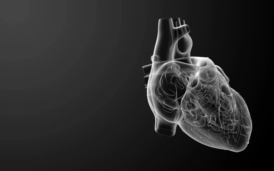 Statins: Lowering Cholesterol — But at What Cost?